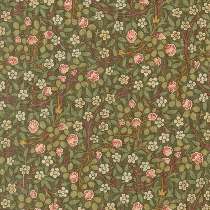 Sage - 13385 12 - Morris Muse.jpg