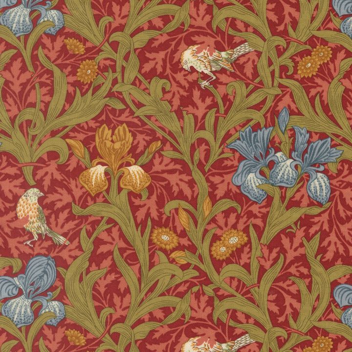 Iris  Russet - 1338016 Morris Muse .jpg