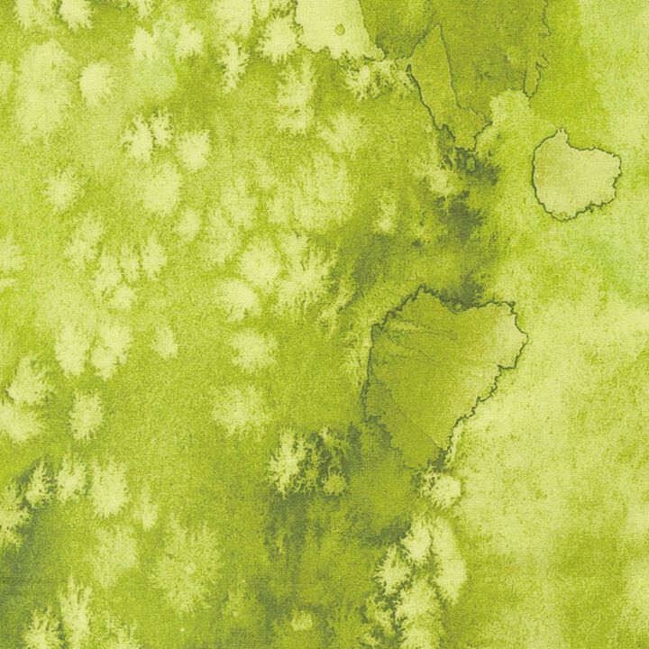 Groen - 8433 92 - Coming Up Rose .jpg